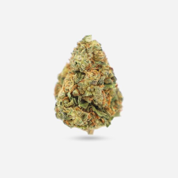 Blue Candy Gelato – Hybrid