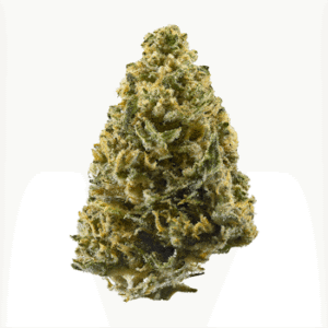 Northern Lights strain