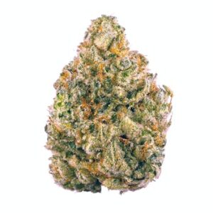 AK-47 Cannabis Strain